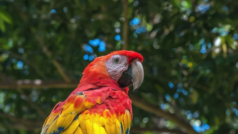 rodrigo-flores-470174-unsplash